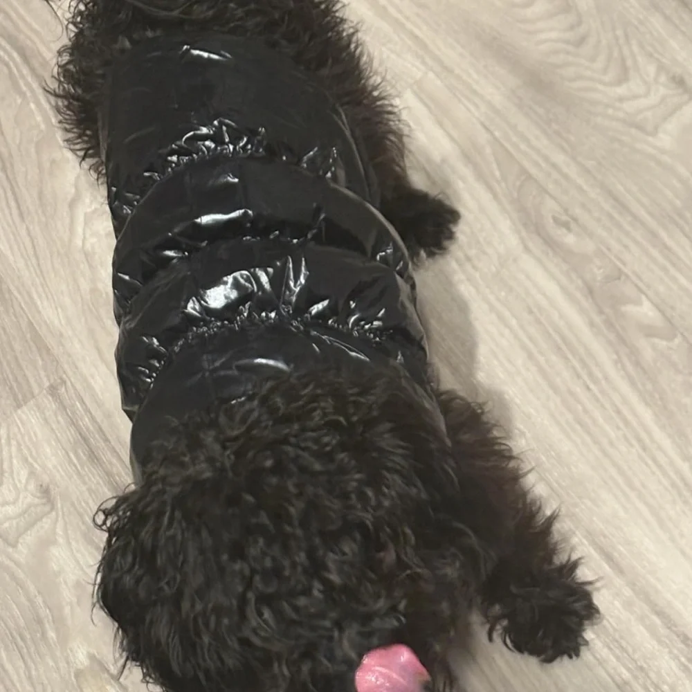 Sleek Black Dog Puffer Jacket size: M